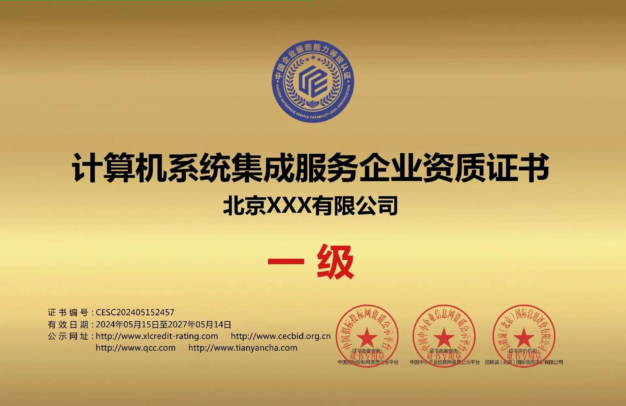 計算機系統(tǒng)集成服務(wù)一級證書 行業(yè)標準與專業(yè)價值